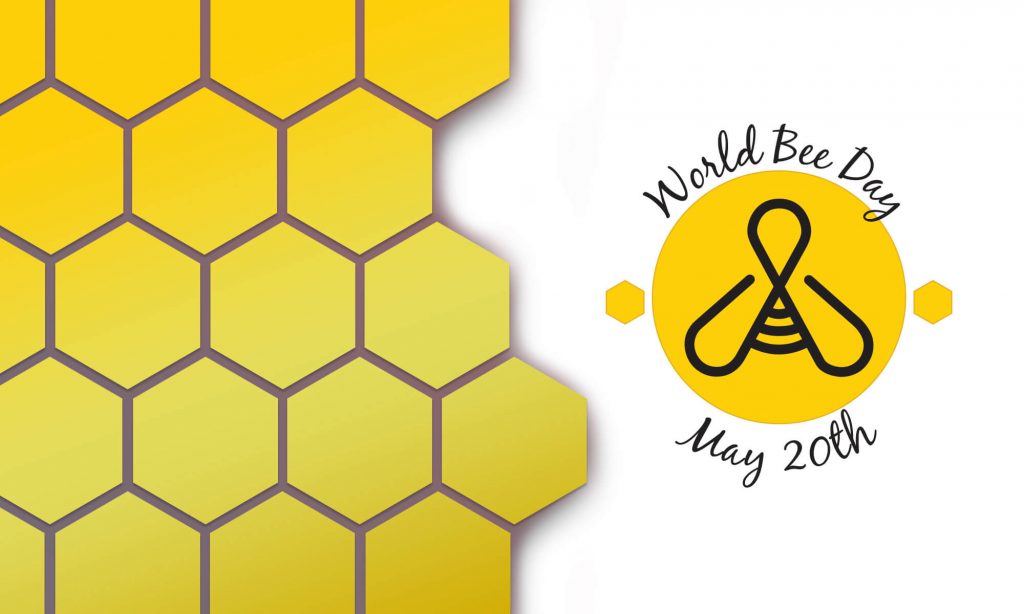 Why Do Bees Matter? – World Bee Day